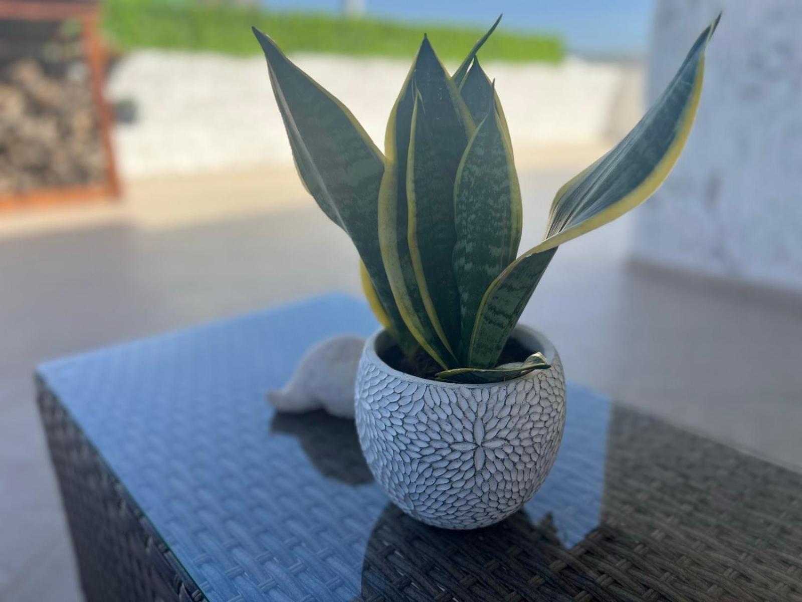 Apartament Katerina House Heraklion Zewnętrze zdjęcie